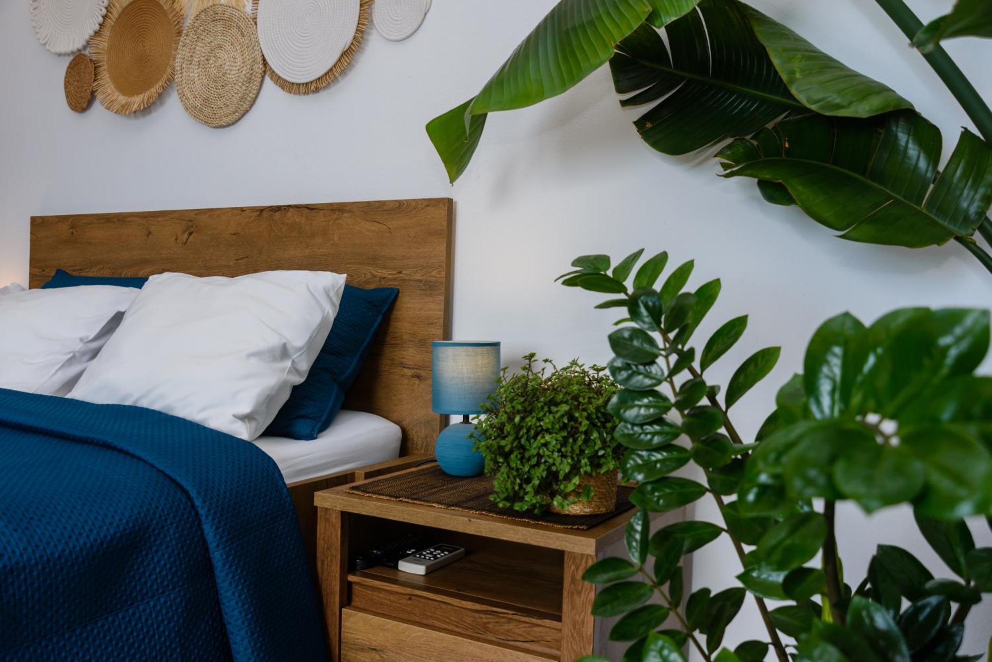 Hillside Studio With Sea View & Fibre Internet Албуфейра Екстериор снимка
